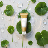 Centella Ampoule Foam